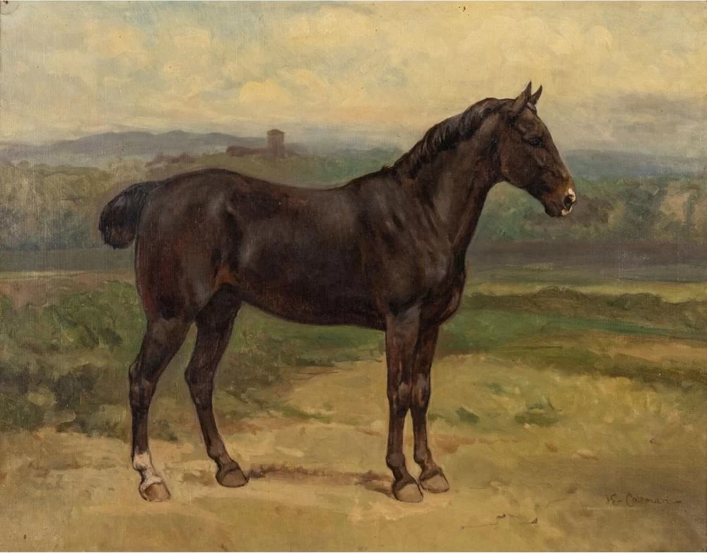 Cavallo